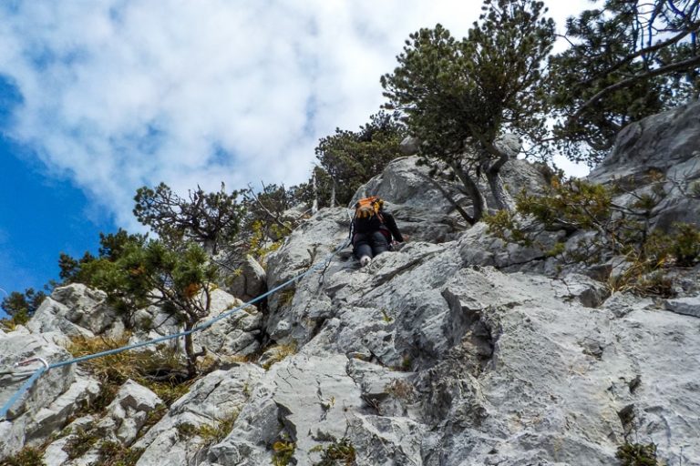 Lézards Agiles / 3e ressaut