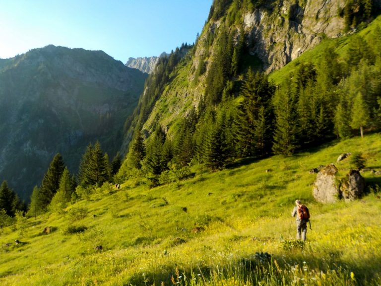 Travaux sentier de Tavaneuse 2019