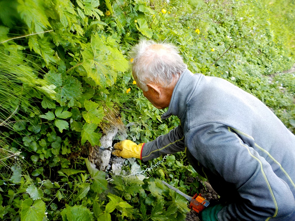 Travaux sentier de Tavaneuse 2019