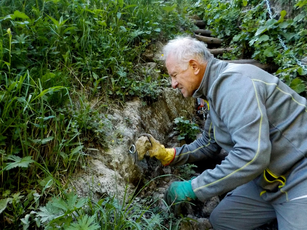 Travaux sentier de Tavaneuse 2019