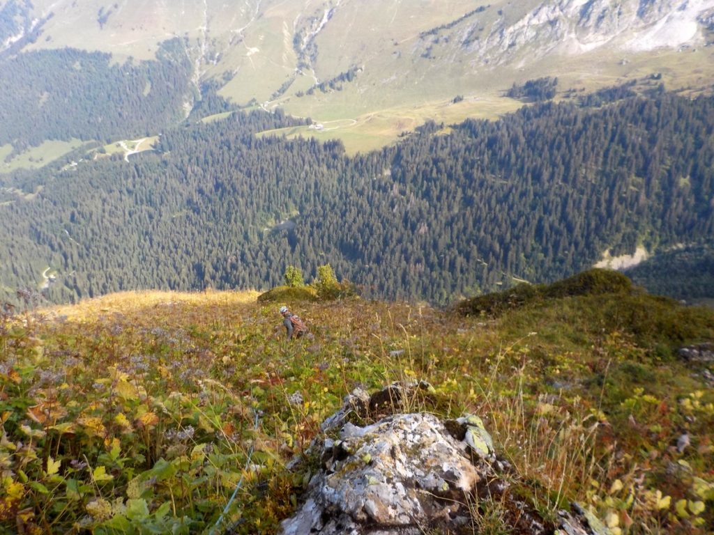 Descente vers le haut de la voie