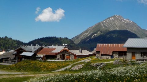 Chalets de Plaine Dranse